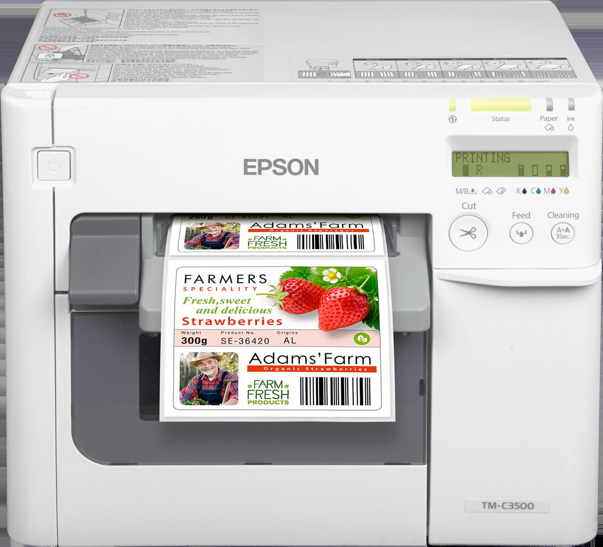 Epson COLORWORKS CW-C3500-012 CD COLOR LABEL PRINTER