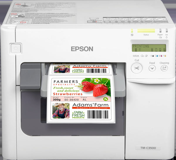 Epson COLORWORKS CW-C3500-012 CD COLOR LABEL PRINTER