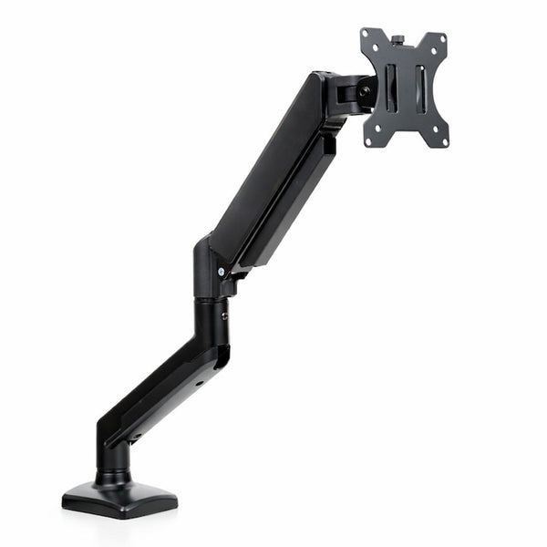 Pavo STAND FOR DISPLAY