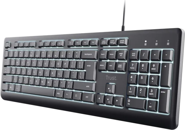 Tastatura Trust Primo Beleuchtete, USB, gri, EN US