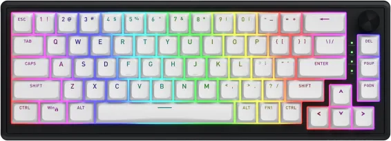Tastatura Mecanica Gaming Hator Skyfall Wireless 65, RGB, Wireless, Alb-Negru, EN US