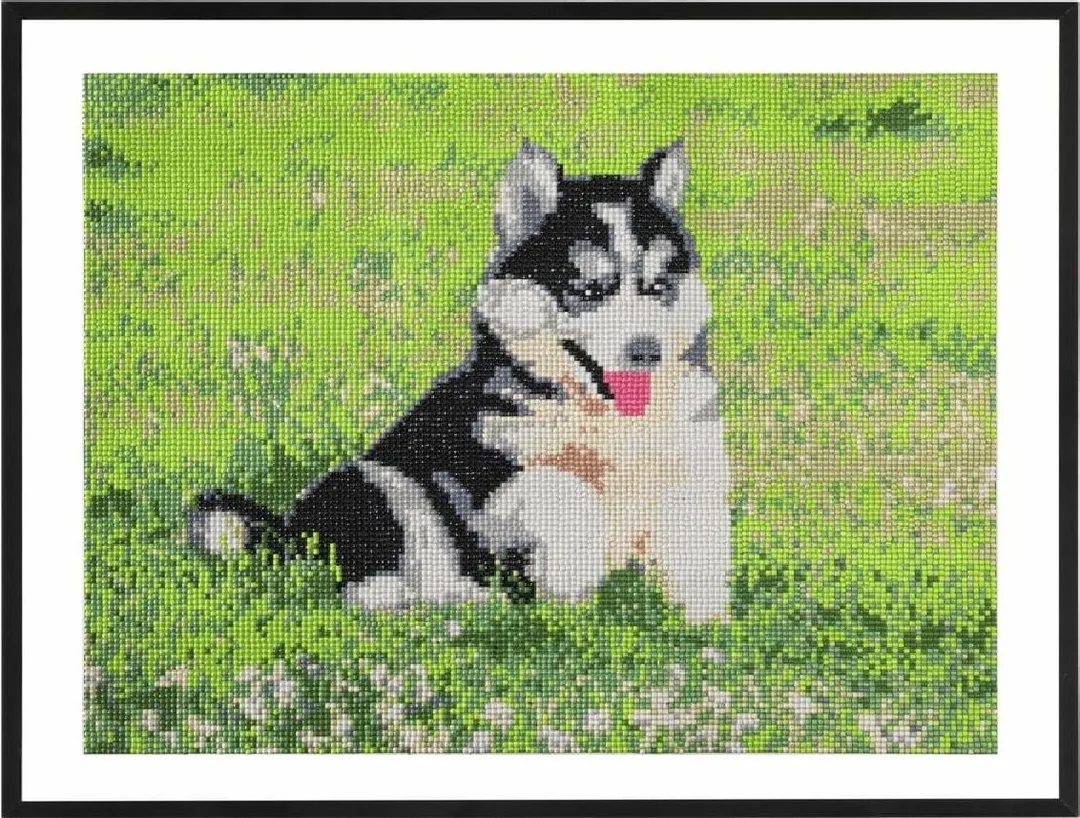 Pictura diamant Creative Craft, model caine, 40x50 cm