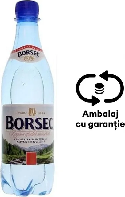 Apa minerala carbogazoasa Borsec, 0.5 l, 12 sticle/bax, eticheta SGR