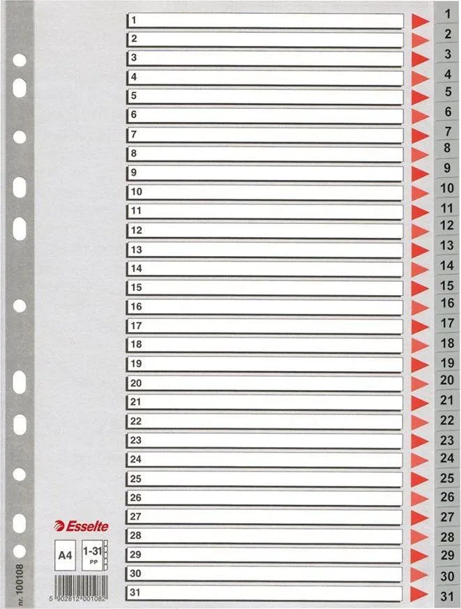 Index din plastic Esselte, A4, index 1-31