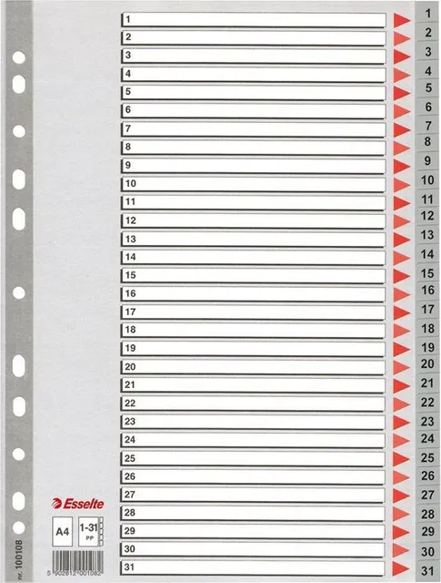 Index din plastic Esselte, A4, index 1-31