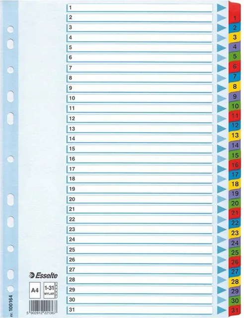 Index Esselte Mylar, 1-31, A4