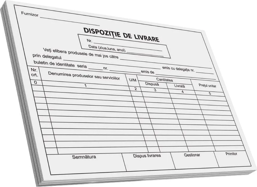 Dispozitie de livrare, A5, 100 file, fata-verso, 3 bucati/set