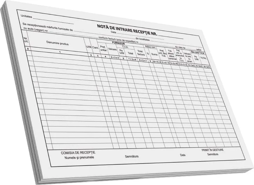 Nota de intrare-receptie A4, 100 file, fata, 3 bucati/set
