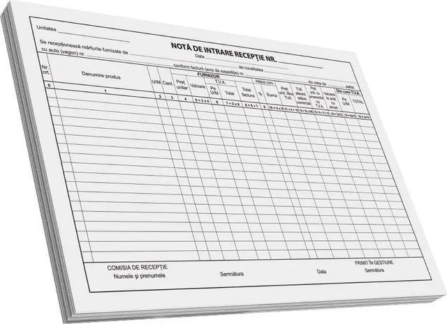 Nota de intrare-receptie A4, 100 file, fata, 3 bucati/set