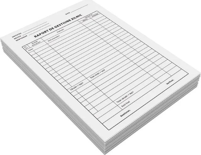 Raport gestiune zilnic, A4, 100 file, fata, 3 bucati/set